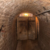  Sproing Pics (36/92)